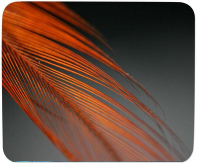 

GMX Mouse Pads for PC, Laptop Orange Feather print for Laptop Gaming - Mose pad under 200rs - S.No : 0479 Mousepad(Multicolor)