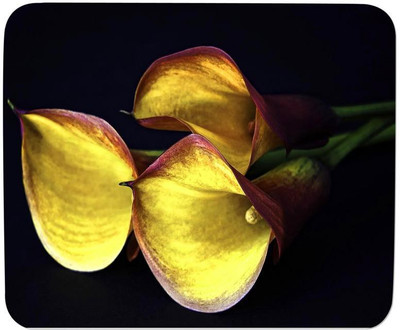 

GMX Best Mouse Pads for Laptop Yellow Flower print for Gaming & work - Cheap mouse pads - S.No : 0417 Mousepad(Multicolor)