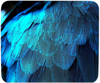 

GMX Mouse Pads for PC, Laptop Feathers Texture print for Laptop Gaming - Mose pad under 200rs - S.No : 0349 Mousepad(Multicolor)