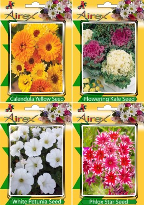 Airex Calendula Yellow, Flowering Kale, White Petunia and Phlox Star (Twinkle Star) Flower Seeds (Pack of 15 Seeds * 4 Per Packet) Seed(15 per packet)