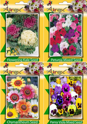 

Airex Flowering Kale, Petunia Mixed, Chyrsantheum and Pansy Viola Mixed Flower Seeds (Pack of 20 Seeds * 4 Per Packet) Seed(20 per packet)