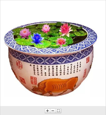 

VS GLOBAL IMPORTED LOTUS HOME ORNAMENTAL PLANT(20 PER POCKET) Seed(20 per packet)