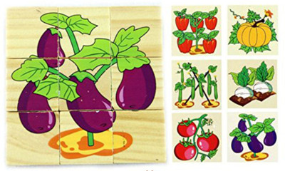 Akrobo 9 Piece Colorful Wooden Block , Vegetable Theme(9 Pieces)