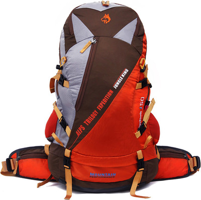 

Husky Travel Mountain Performance Rucksack Travel Bag 50 L Backpack(Brown)
