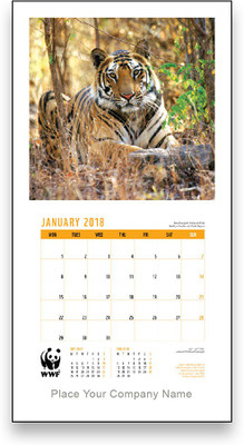 

wwf Stripes Wall Calendar 2018 Wall Calendar(Multicolor, Tiger Stripes)