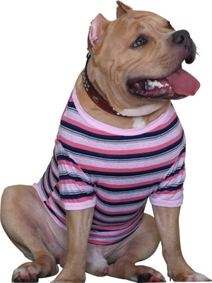 

Doxters T-shirt for Dog(Navy Blue, Pink and Melange Pink, Multicolor