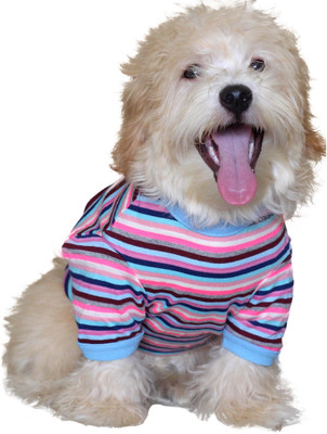 

Doxters T-shirt for Dog(Neon Pink, Navy Blue and Dark Red, Multicolor