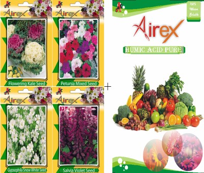 Airex Flowering Kale, Petunia Mixed, Gypsophila Snow White and Salvia Violet Flower Seeds + Humic Acid Fertilizer (For Growth of All Plant and Better Responce) 15 gm Humic Acid + Pack Of 20 Seeds * 4 Per Packet Seed(20 per packet)