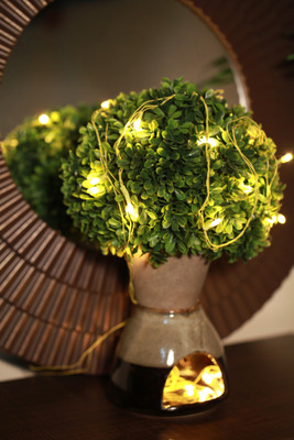 

Home Delight 130 inch Yellow, Gold Rice Lights(Pack of 10)
