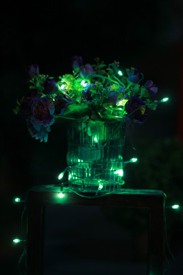 

Home Delight 130 inch Green Rice Lights(Pack of 15)