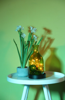 

Home Delight 130 inch Yellow, Gold Rice Lights(Pack of 25)