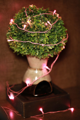 

Home Delight 130 inch Pink Rice Lights(Pack of 25)