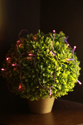 

Home Delight 130 inch Purple Rice Lights(Pack of 20)