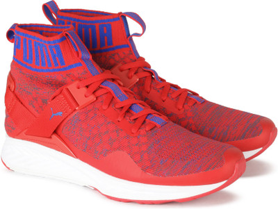 Puma ignite evoknit men orange new arrivals