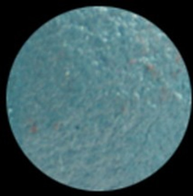 

KleanColor American Eyedol (Wet / Dry Baked Eyeshadow) 3 g(Matte Teal)