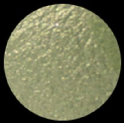 

KleanColor American Eyedol (Wet / Dry Baked Eyeshadow) 3 g(Shamrock)