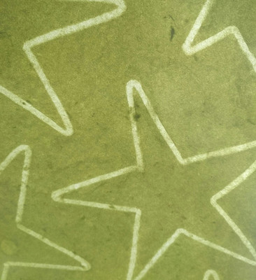 

Indo Gifts Handmade un-ruled A4 Craft paper(Set of 20, Green)