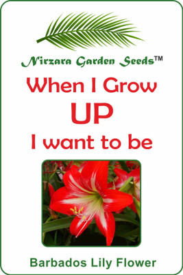 

Nirzara Garden Seeds Barbados Lily Flower Seed(30 per packet)