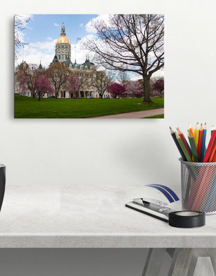 

Connecticut State Capitol Poster Fine Art Print(12 inch X 18 inch)