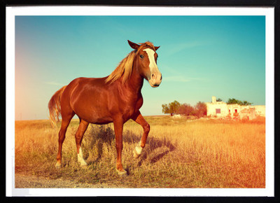 

Poster of Horse Fine Art Print(12 inch X 18 inch)