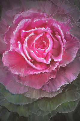 

flower digital painting poster Fine Art Print(18 inch X 12 inch)