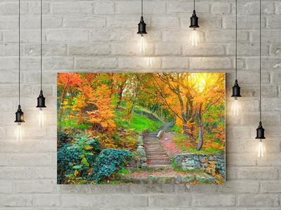 

Beautiful Sun Rising Poster Fine Art Print(12 inch X 18 inch)
