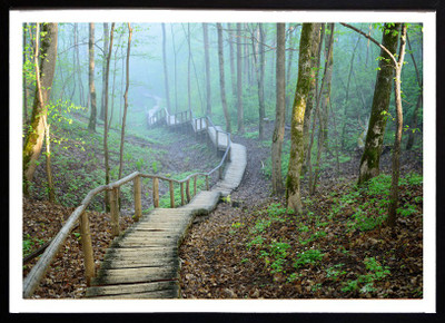 

Poster of Landscpe Fine Art Print(12 inch X 18 inch)