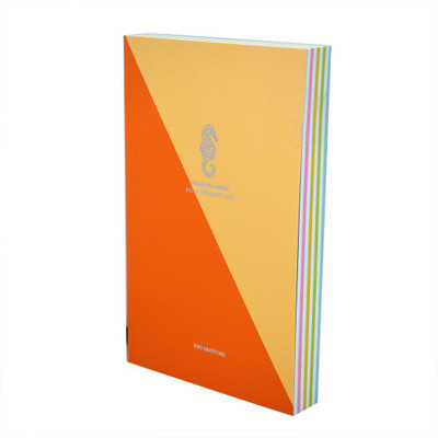 Enwraps Regular Note Book(soft Bound, Orange)