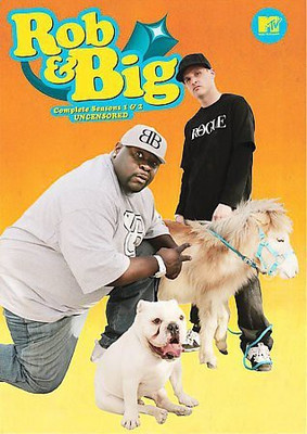 

ROB & BIG:COMPLETE SEASONS 1 & 2 UNCE(DVD English)