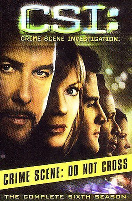 

CSI:COMPLETE SIXTH SEASON(DVD English)