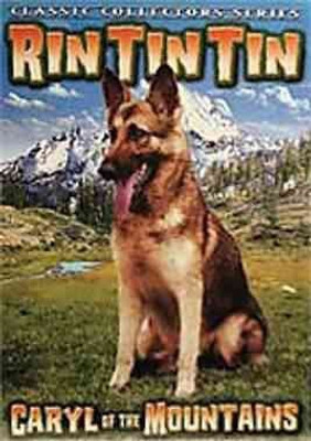 

RIN TIN TIN COLLECTION VOL 1(DVD English)