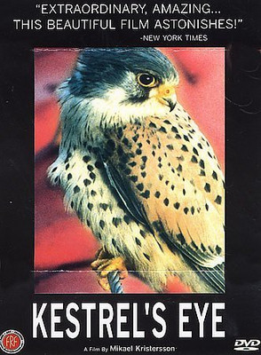 

KESTREL'S EYE(DVD English)