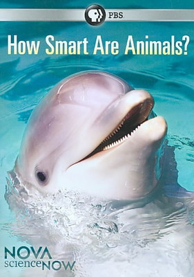 

NOVA:SCIENCENOW HOW SMART ARE ANIMALS(DVD English)