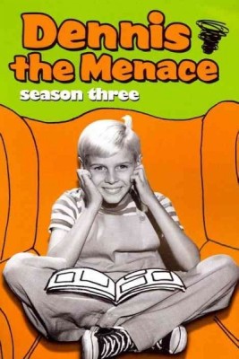 

DENNIS THE MENACE:SEASON THREE(DVD English)