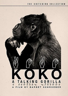 

KOKO:TALKING GORILLA(DVD English)