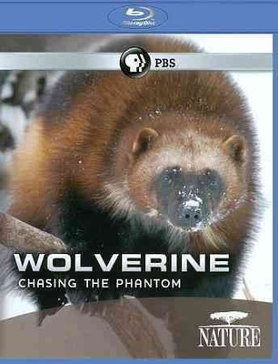 

NATURE:WOLVERINE CHASING THE PHANTOM(Blu-ray English)