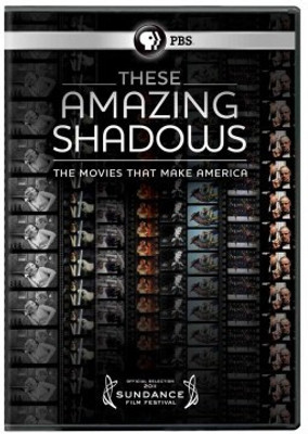 

THESE AMAZING SHADOWS:MOVIES THAT MAK(DVD English)