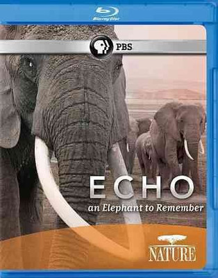 

NATURE:ECHO ELEPHANT TO REMEMBER(Blu-ray English)
