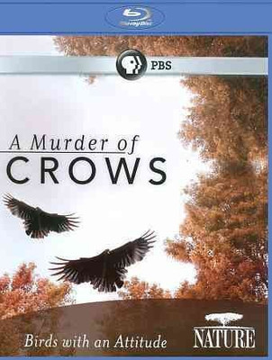 

NATURE:MURDER OF CROWS(Blu-ray English)