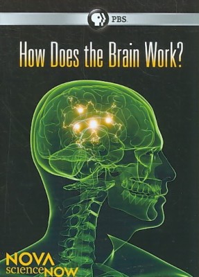 

NOVA:SCIENCENOW HOW DOES THE BRAIN WO(DVD English)