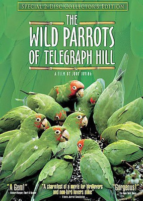 

WILD PARROTS OF TELEGRAPH HILL COLLEC(DVD English)