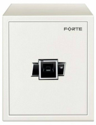 

Godrej Forte 40 Biometric Safe Locker(Biometric, Key Lock)