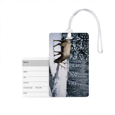 

100yellow Luggage Tag- Natural Scenery Printed Designer Luggage Travel Baggage Tags with Silicon Strap- Ideal For Travel Luggage Tag(Multicolor)