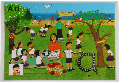 

Phonics C2C Reading Resource(Multicolor)