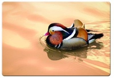 

Dadlace Mandarin Duck Mousepad(Multicolor)