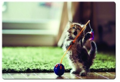 

Dadlace Dancing Cat Mousepad(Multicolor)
