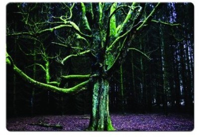 

Dadlace Moss Tree Mousepad(Multicolor)