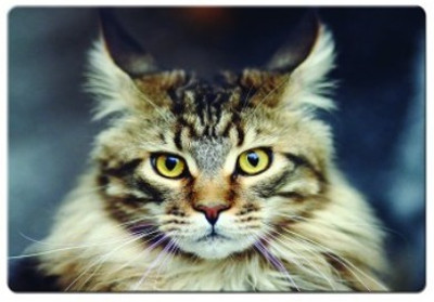 

Dadlace Cat Mousepad(Multicolor)