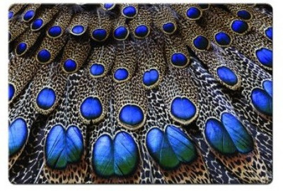 

Dadlace Peacock wings Mousepad(Multicolor)