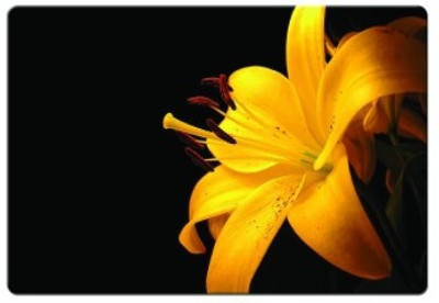 

Dadlace Lily Yellow Mousepad(Multicolor)
